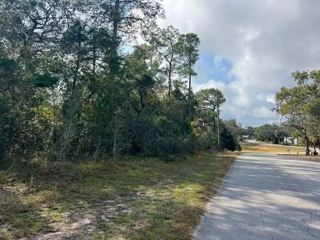 3328 Horseshoe Ln, Spring Hill, FL 34606 - Image #3