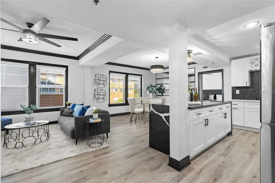 219 4th Avenue N #201, Saint Petersburg, FL 33701 - Image #2