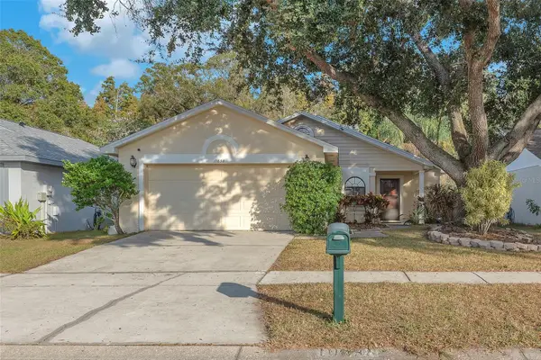 10838 Peppersong Drive, RIVERVIEW, FL 33578