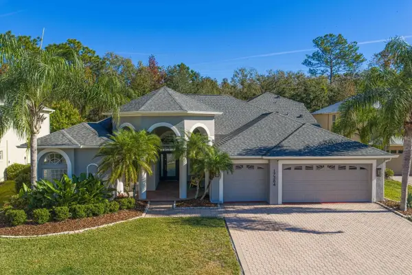 17384 Emerald Chase Drive, TAMPA, FL 33647