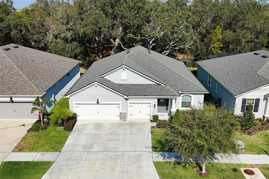 11404 Blue Woods Drive, Riverview, FL 33569 - Image #2
