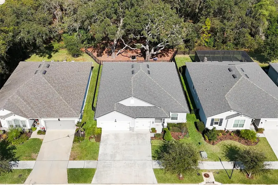 11404 Blue Woods Drive, Riverview, FL 33569 - Image #3