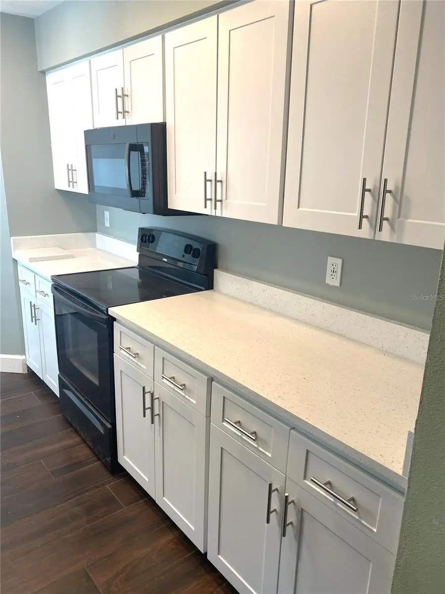 525 Feather Tree Drive, Clearwater, FL 33765 - Image #3