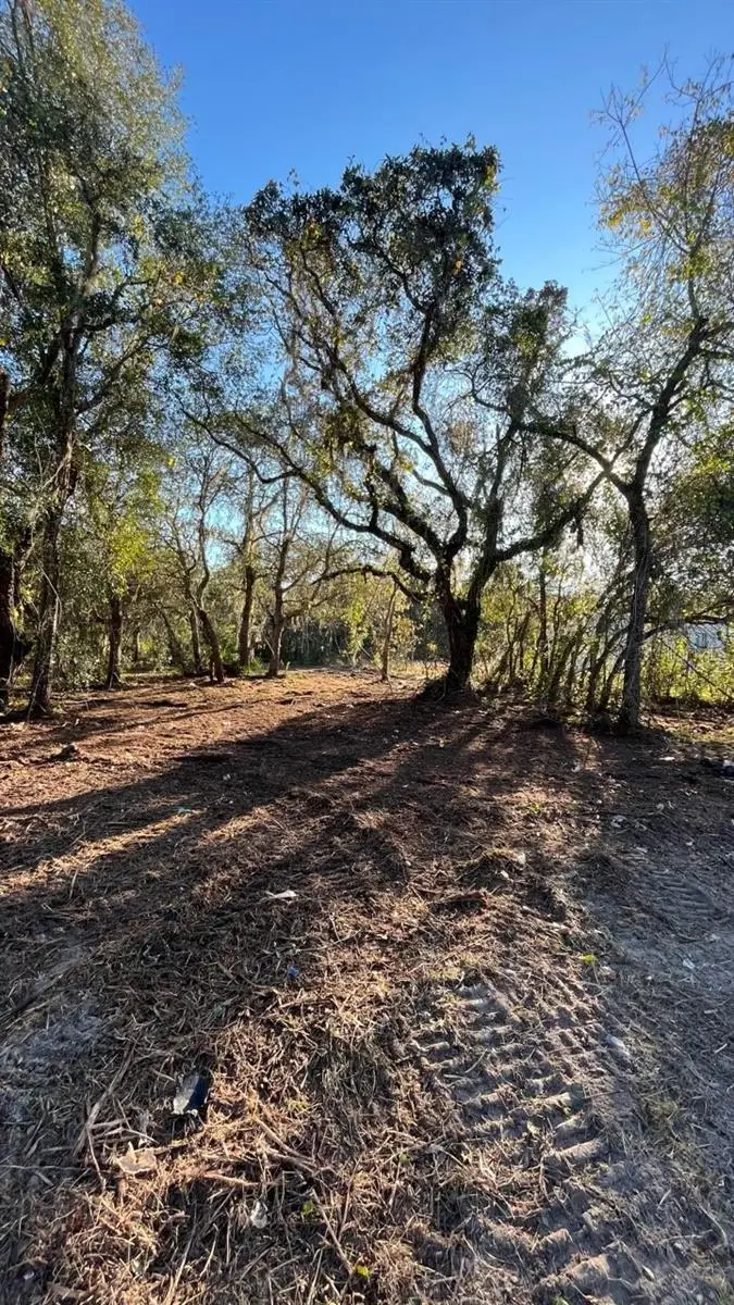 Hagar Drive, New Port Richey, FL 34652 - Image #2