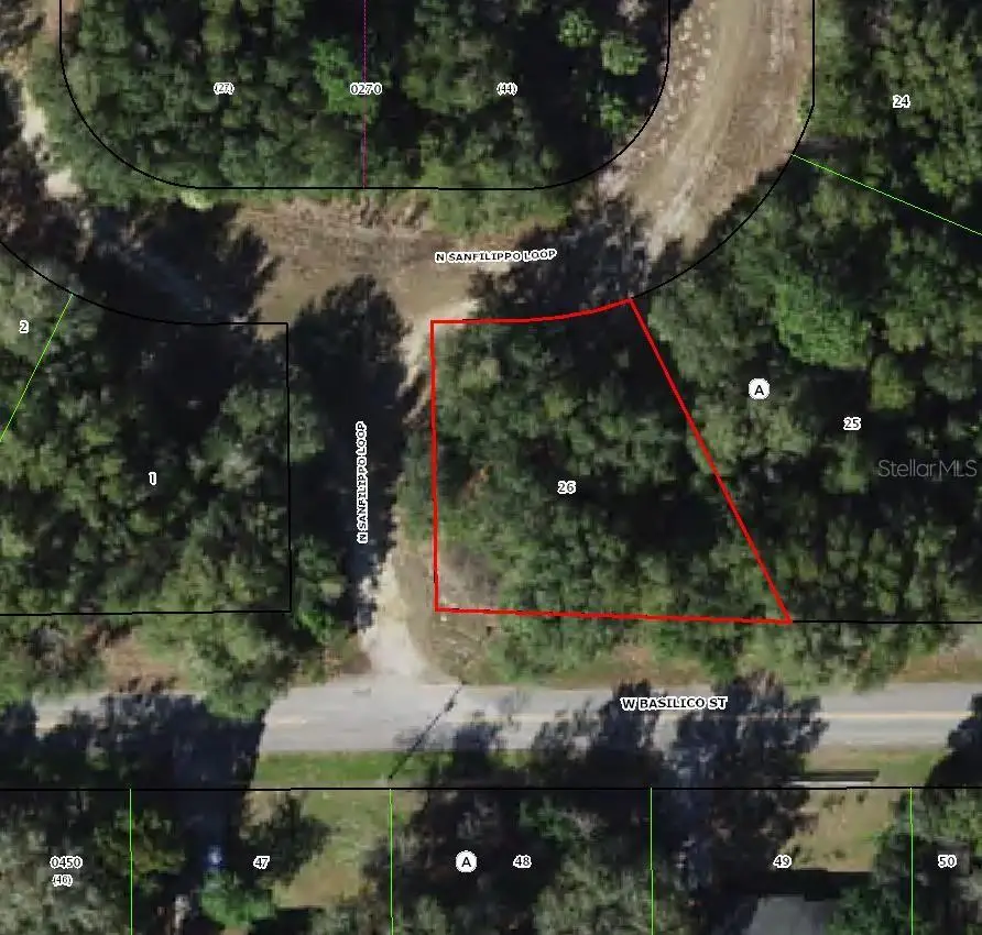 8549 N San Filippo Loop, Crystal River, FL 34428 - Image #1