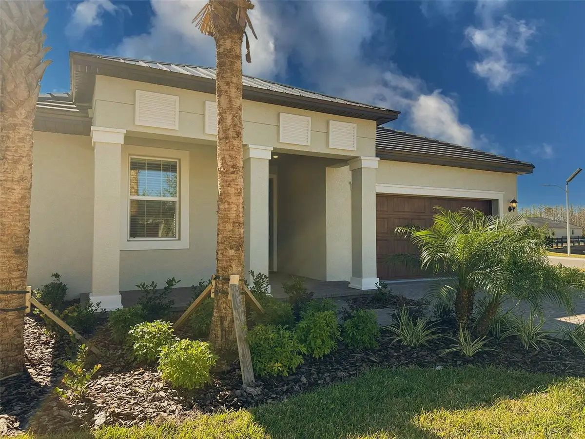 17216 Mango Shay Court, Land O Lakes, FL 34638 - Image #1