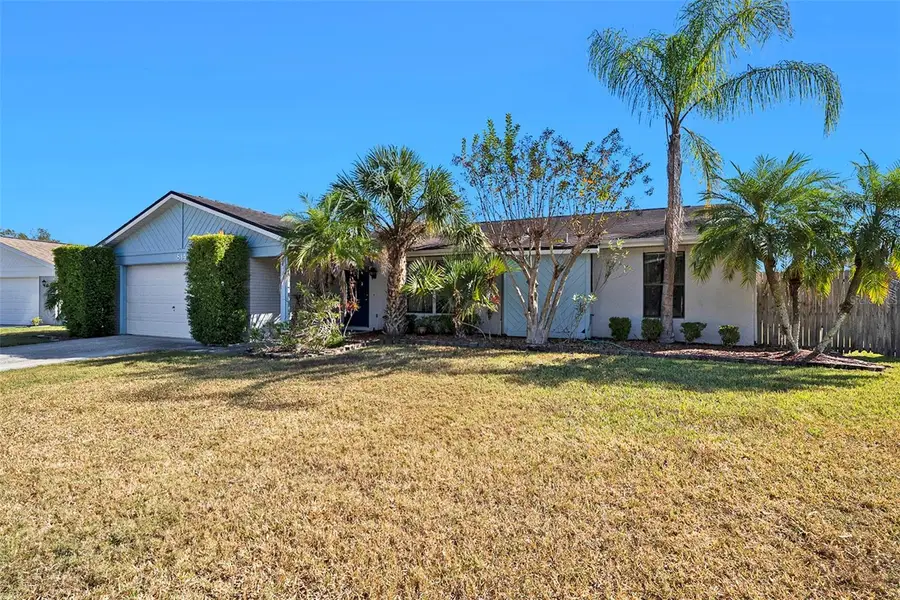 814 Satinleaf Avenue, Oldsmar, FL 34677 - Image #2