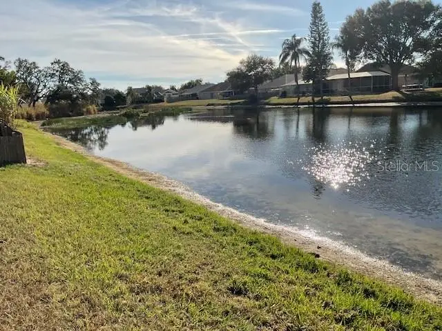 12529 Midpointe Drive, Riverview, FL 33578 - Image #3