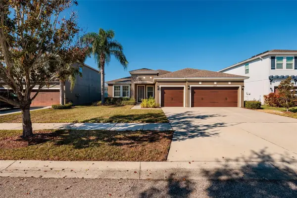 13607 Artesa Bell Drive, RIVERVIEW, FL 33579