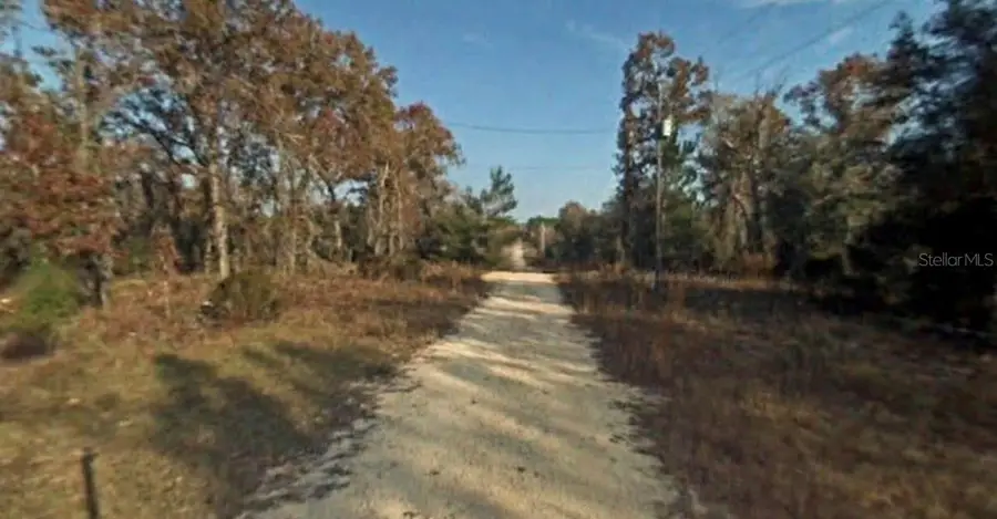 NE 64th Place, Williston, FL 32696 - Image #3