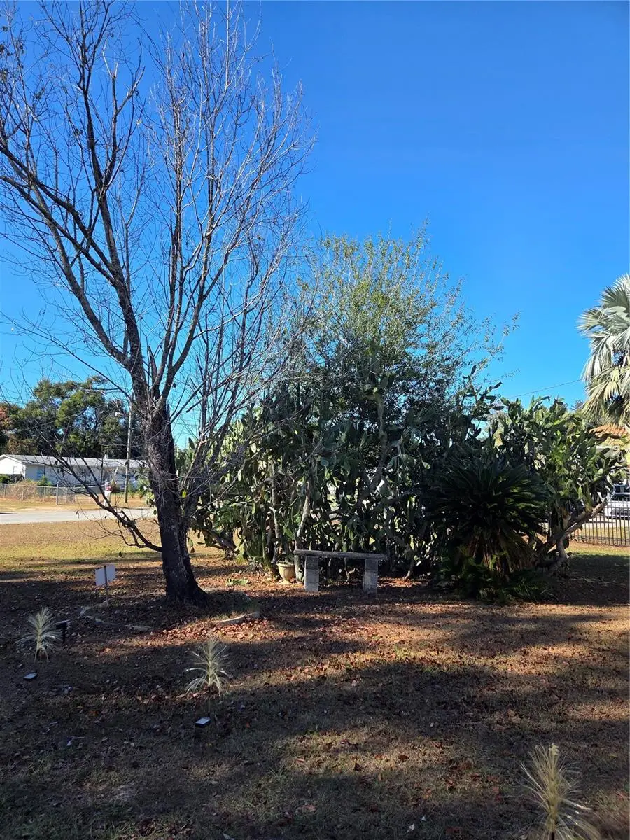 505 Murcott Place, Valrico, FL 33594 - Image #3