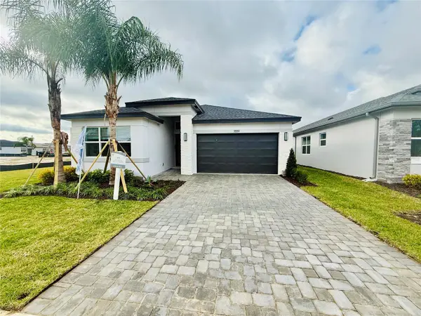 3559 Malta Avenue, WESLEY CHAPEL, FL 33543