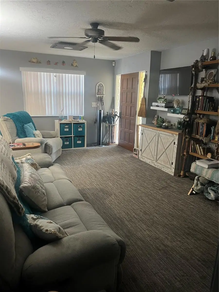 4224 E Bird Street, Tampa, FL 33617 - Image #3