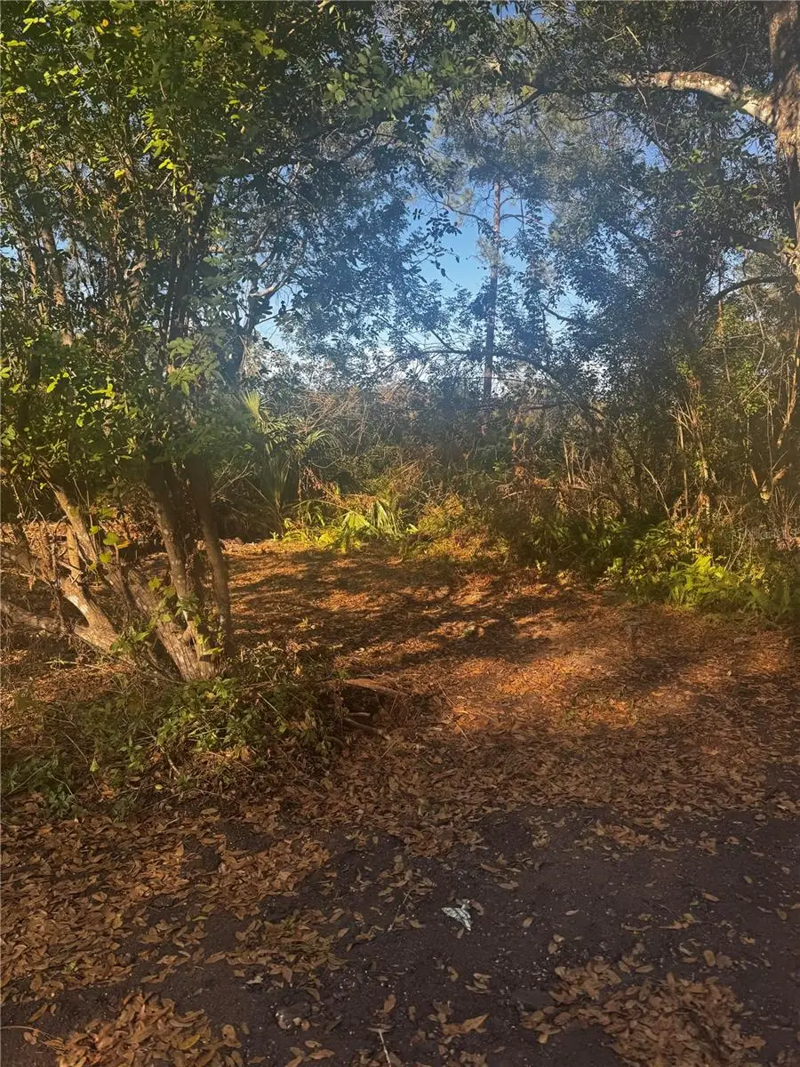 9-20 Anno, Tampa, FL 33625 - Image #3