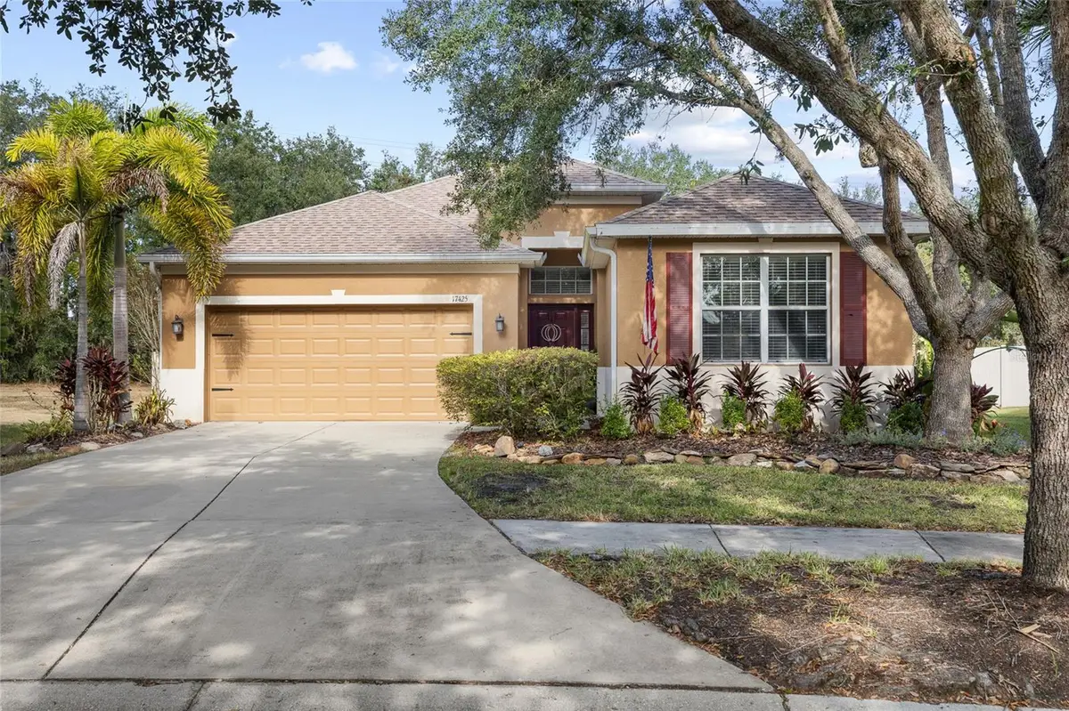 17425 New Cross Circle, Lithia, FL 33547 - Image #1