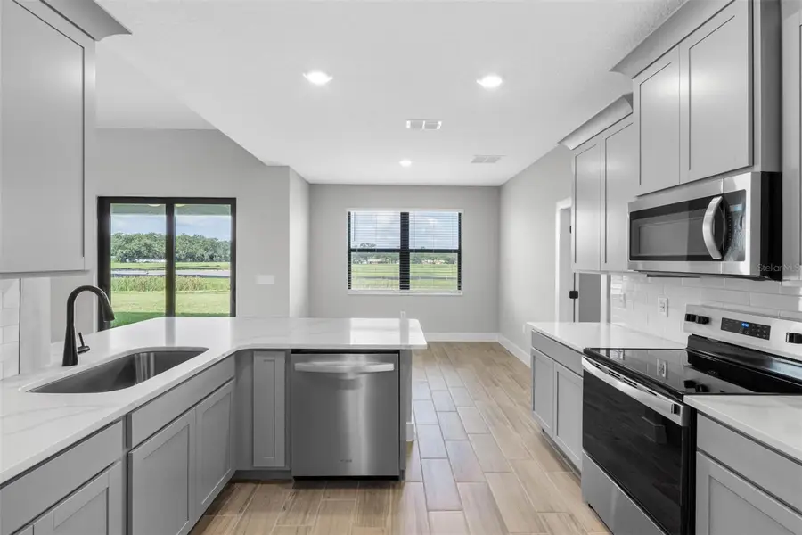 13444 Lake Gallagher Drive, Dover, FL 33527 - Image #3