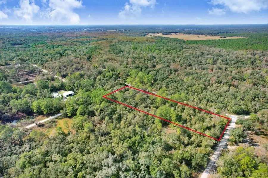 Sonia Avenue, Webster, FL 33597 - Image #3