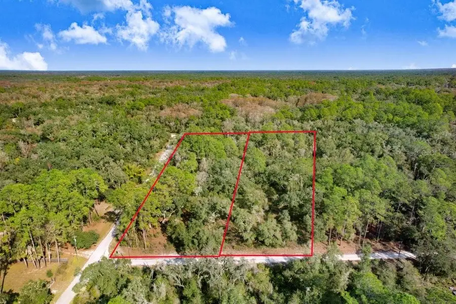 7292 Sonia Avenue, Webster, FL 33597 - #2