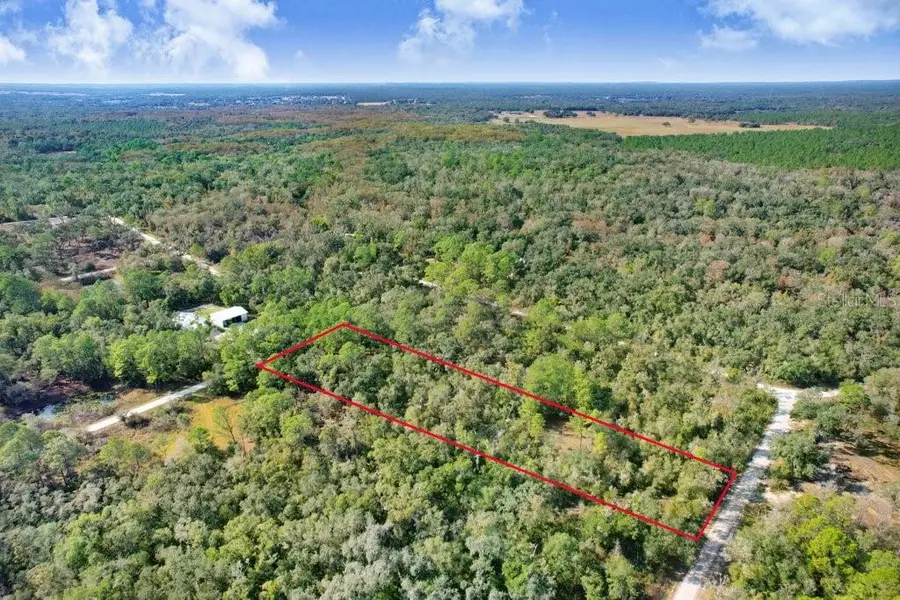 7292 Sonia Avenue, Webster, FL 33597 - #3