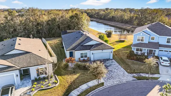 30801 Parrot Reef, WESLEY CHAPEL, FL 33545