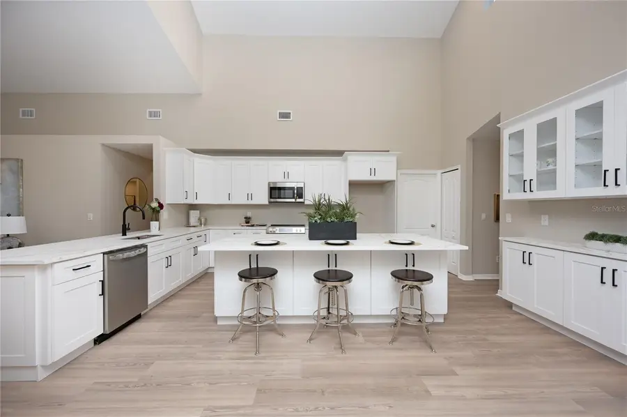 15014 Arbor Hollow Drive, Odessa, FL 33556 - Image #3