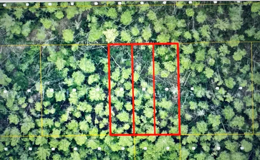 1 Werley Trail, Deland, FL 32720 - Image #3