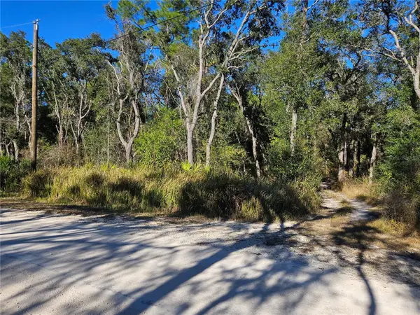 Berryhill Drive, WEBSTER, FL 33597