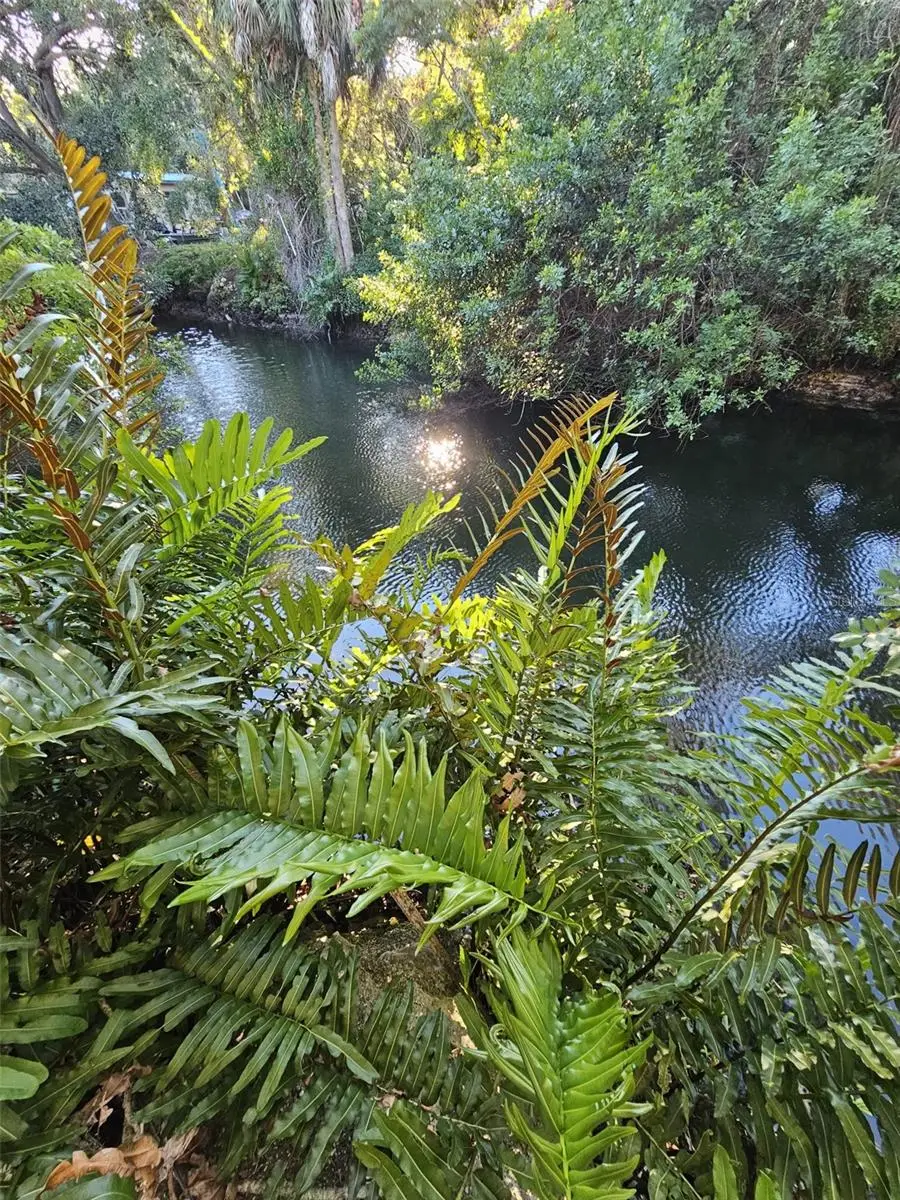 14635 Coral Drive, Hudson, FL 34667 - Image #3