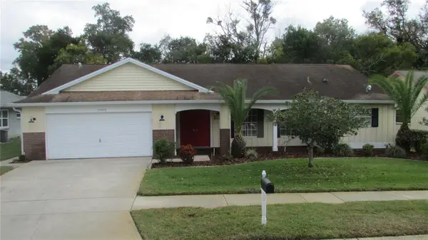 13406 Shadberry Lane, HUDSON, FL 34667