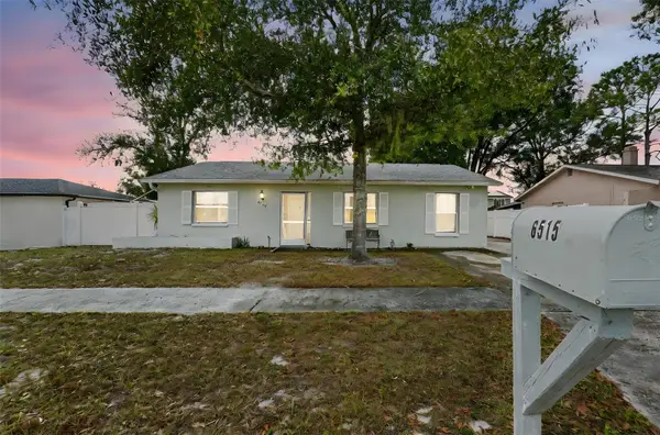 6515 Spanish Moss Circle, TAMPA, FL 33625