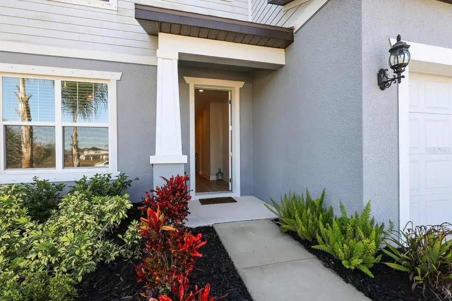 12945 Brookside Moss Drive, Riverview, FL 33579 - Image #3