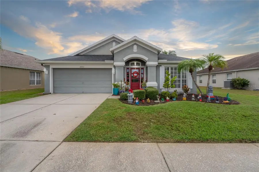 31203 Hannigan Place, Wesley Chapel, FL 33543 - Image #2