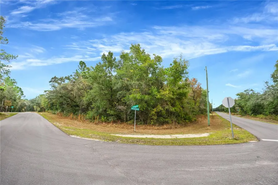 Top Rock Drive, Webster, FL 33597 - Image #2