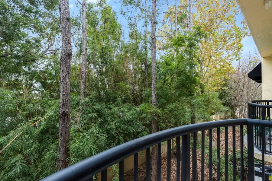 5246 Hampton Beach Place, Tampa, FL 33609 - Image #2