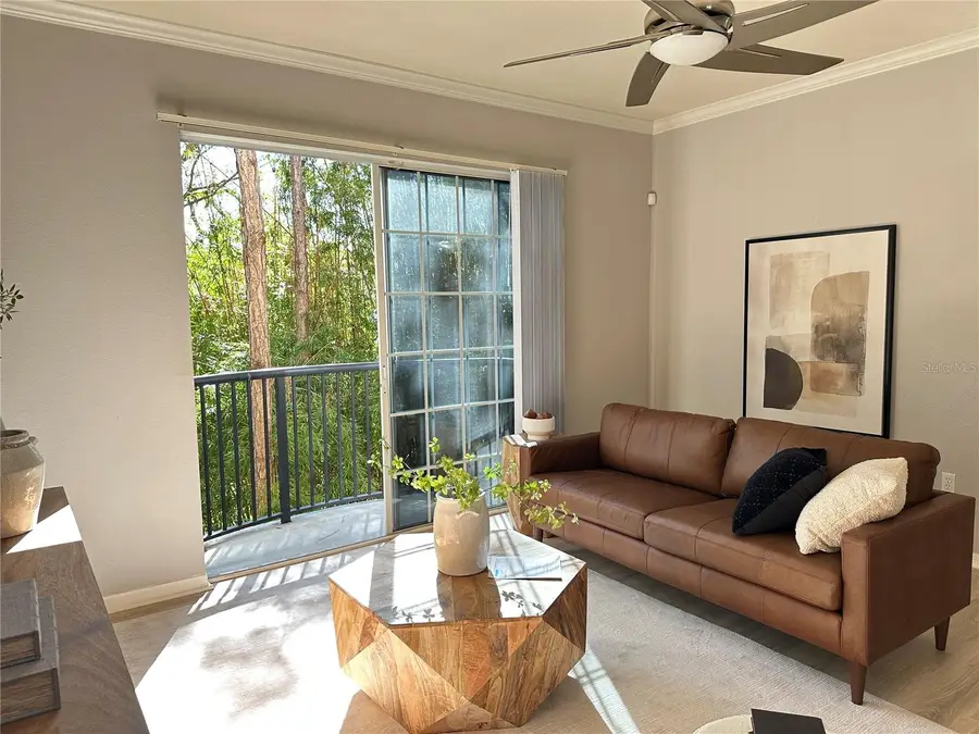 5246 Hampton Beach Place, Tampa, FL 33609 - Image #3