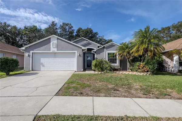 3043 Beaver Pond Trail, VALRICO, FL 33596
