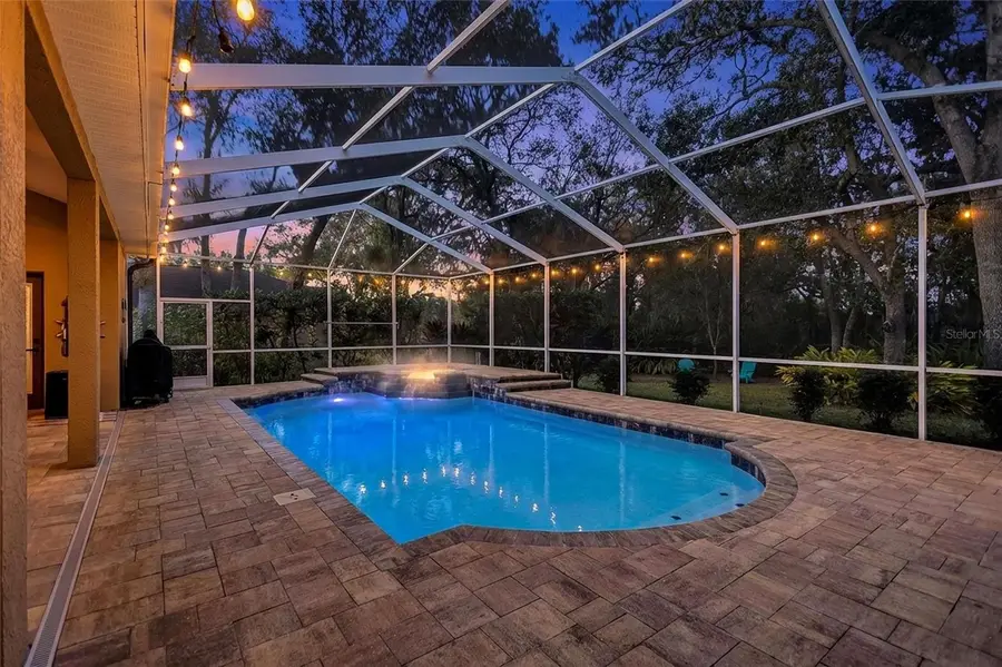 6022 Hammock Hill Avenue, Lithia, FL 33547 - Image #2