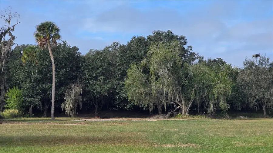 15311 Fishhawk Heights Run, Lithia, FL 33547 - Image #2