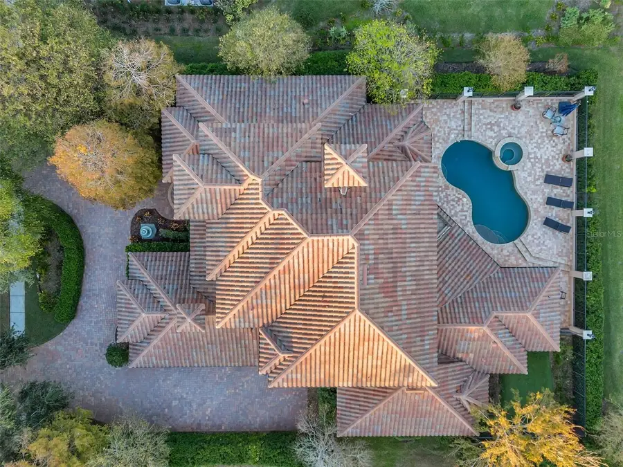 3703 Douglas Place, Palm Harbor, FL 34683 - Image #3