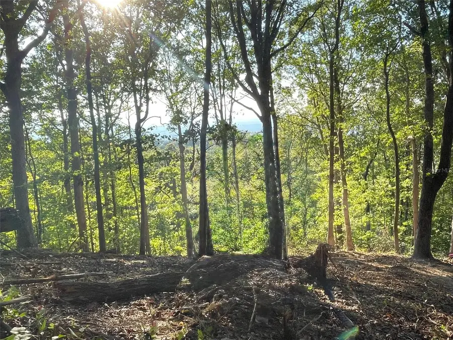 97 Wilderness Creek Way, Murphy, NC 28906 - #3