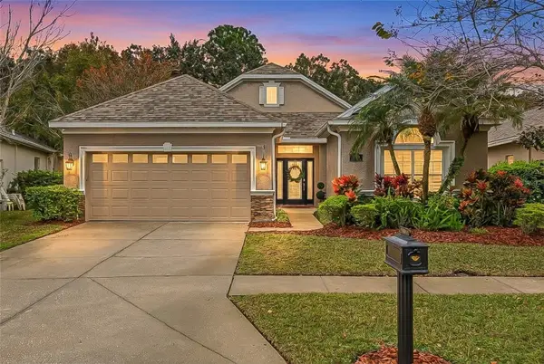 10403 Applecross Lane, TAMPA, FL 33626