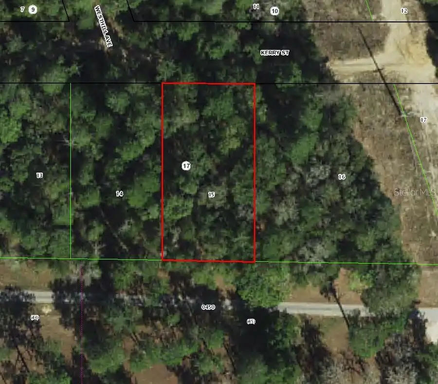 2711 Kerry Street, Inverness, FL 34452 - Image #2