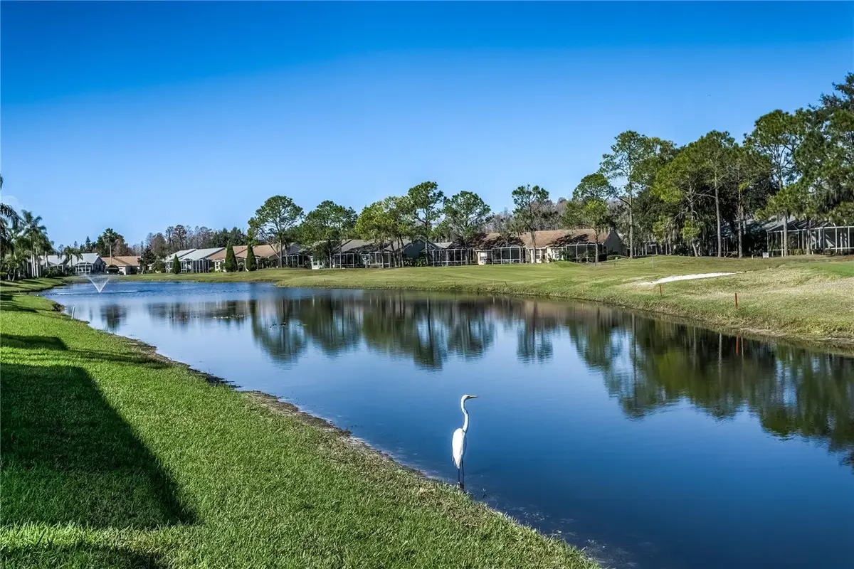20931 Jaffa Lane, Land O Lakes, FL 34637 - Image #1