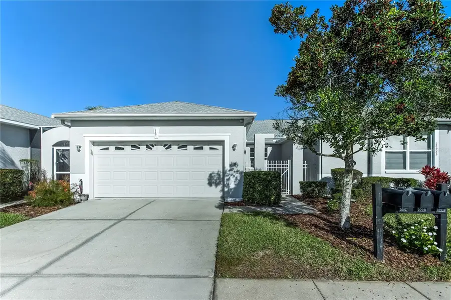 20931 Jaffa Lane, Land O Lakes, FL 34637 - Image #2