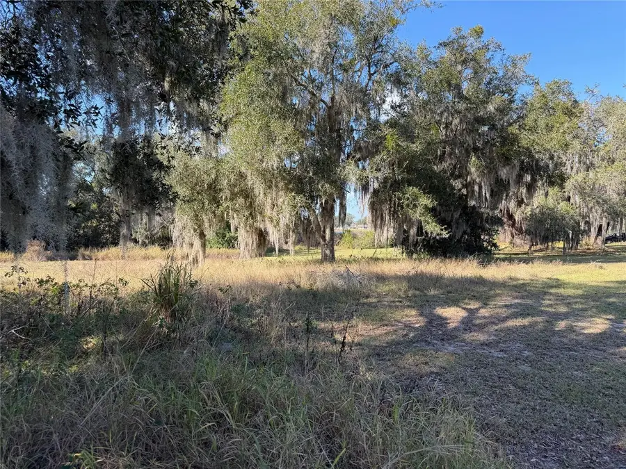 Mohawk Street, Mascotte, FL 34753 - Image #3