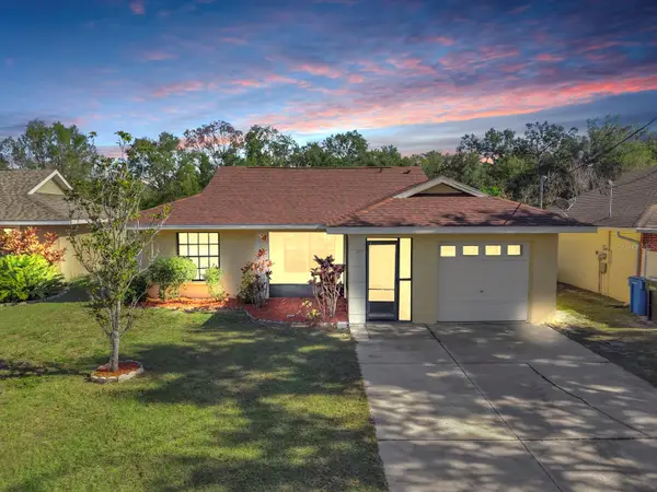 11722 Lynn Brook Circle, SEFFNER, FL 33584