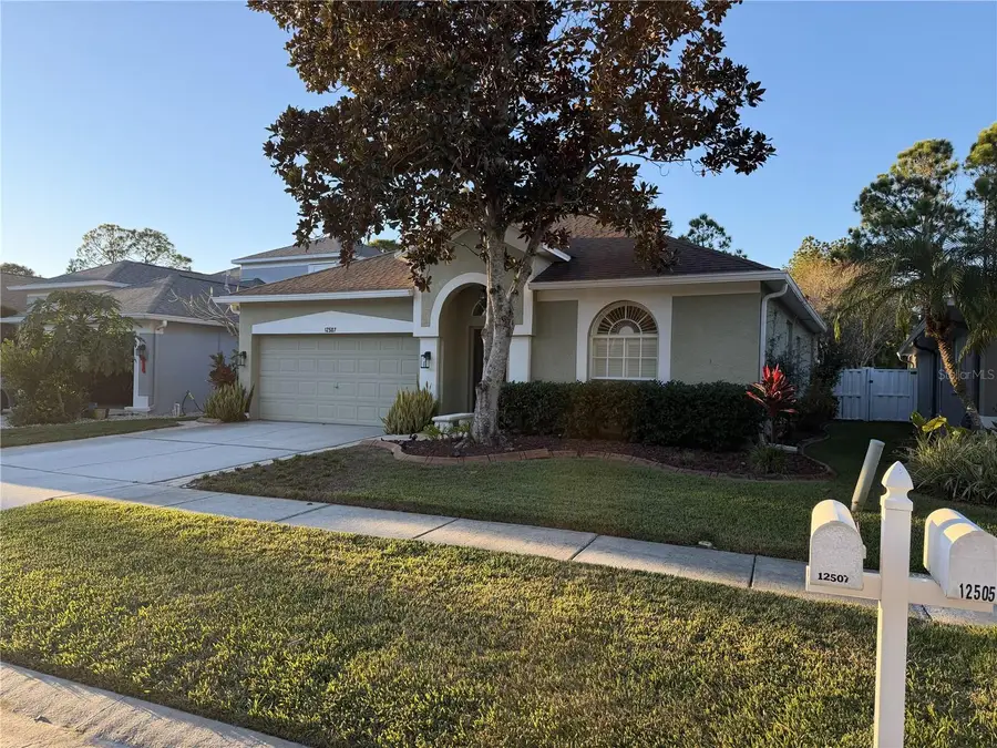 12507 Blazing Star Drive, Tampa, FL 33626 - Image #2