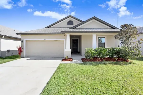 12123 Creek Preserve Drive, RIVERVIEW, FL 33579