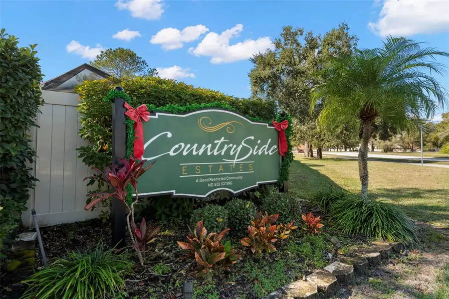 2991 Pinewood Run, Palm Harbor, FL 34684 - Image #3