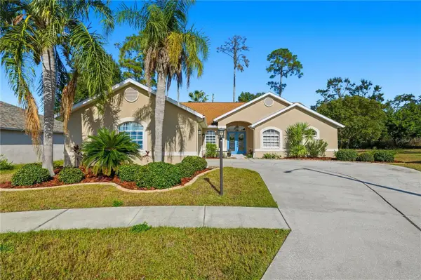 9233 Irondale Lane, HUDSON, FL 34667